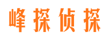 蔡甸市私家侦探公司